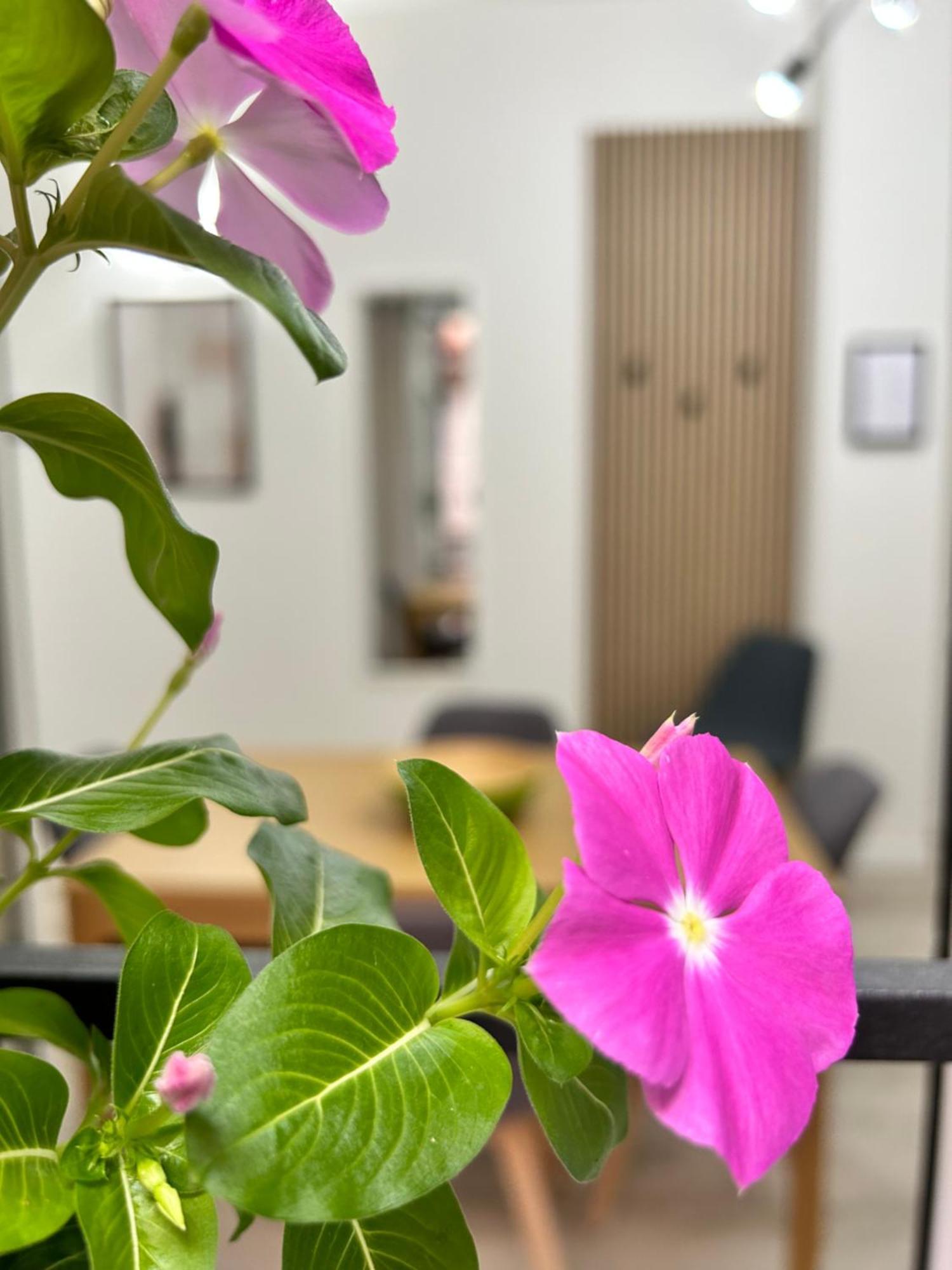Appartement Tezone Seven *
